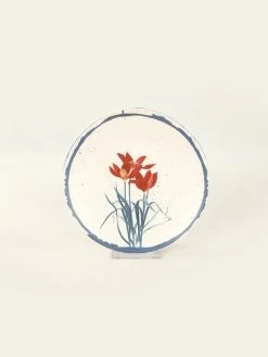 24tlg. Kombiservice In Creme/ Bunt -Küchenbedarf Geschäft violeta home 24tlg kombiservice in creme bunt 5