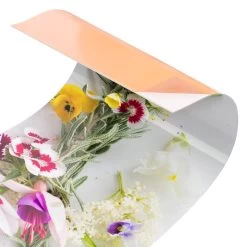 Küchenrückwand - Frische Kräuter Mit Essblüten In Bunt -Küchenbedarf Geschäft wallart kuchenruckwand frische krauter mit essbluten in bunt 4