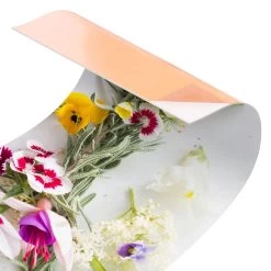 Küchenrückwand - Frische Kräuter Mit Essblüten In Bunt -Küchenbedarf Geschäft wallart kuchenruckwand frische krauter mit essbluten in bunt 5